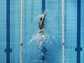 Professional Sports Photo of Swimmer