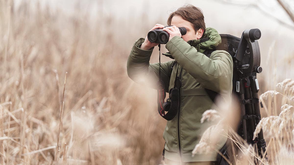 Nature photographer who is looking at the beauty in birds and other animals through binoculars. Explorer looks through binoculars for biodiversity ecosystem. Nature walk scene while using binoculars