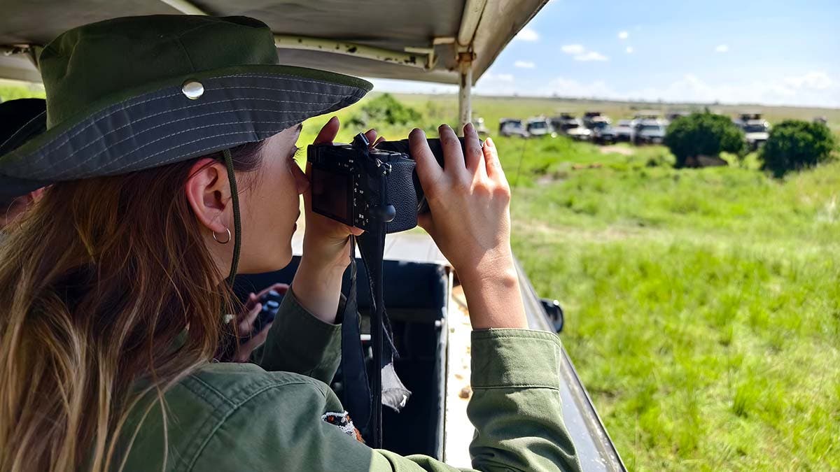 A tourist photographs a wild lion during a safari tour in Kenya and Tanzania. Concept Travel and adventure through wild Africa. A woman with a camera in an open-top safari car is traveling in Africa.