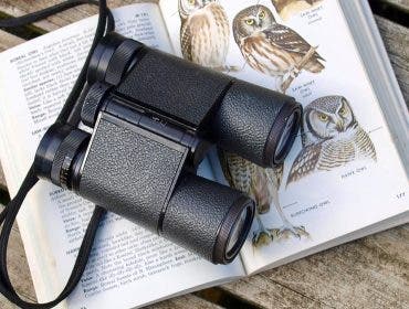 Best binoculars for bird photographers