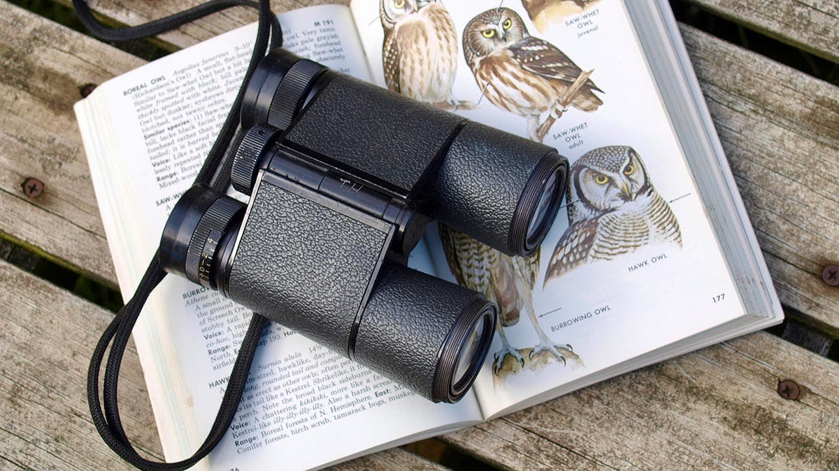 Best binoculars for bird photographers