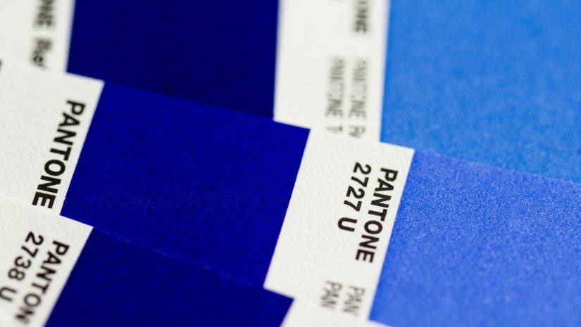 pantone blue color palette