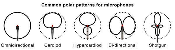 Common Polar Patterns for Microphones