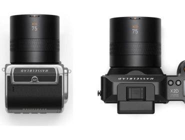 Hasselblad XCD 75P on bodies