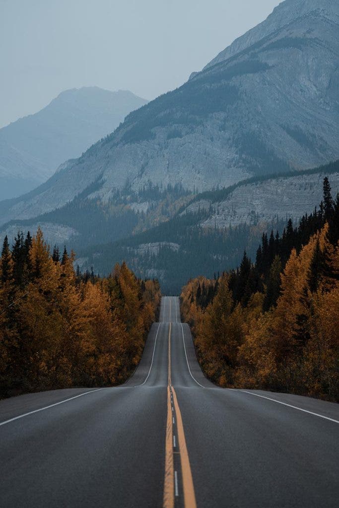 Rules of composition - Framing
