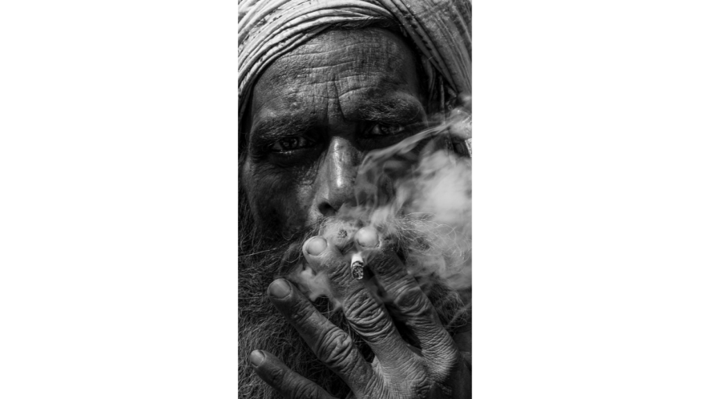 a striking portrait photograph