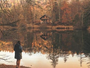 an example of fall foliage photography