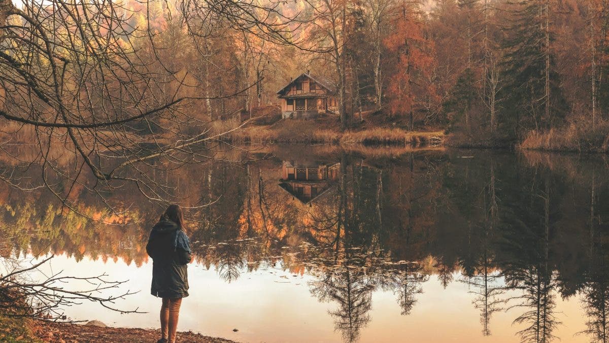 an example of fall foliage photography