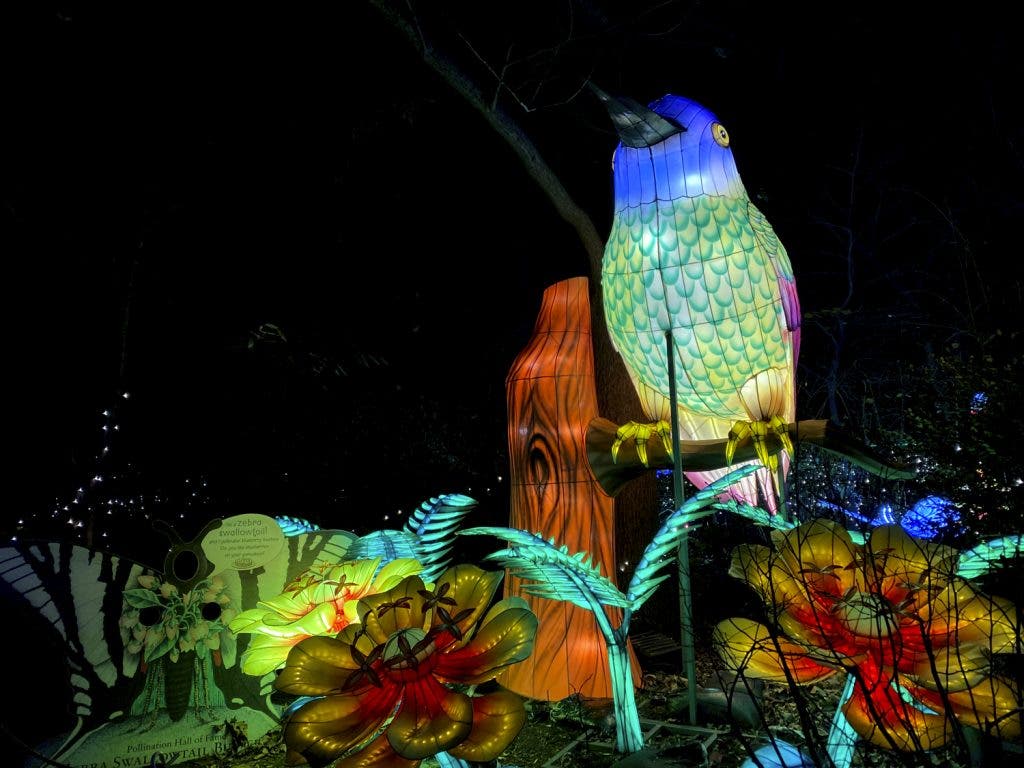 Holiday Lights 2024 at the Bronx Zoo