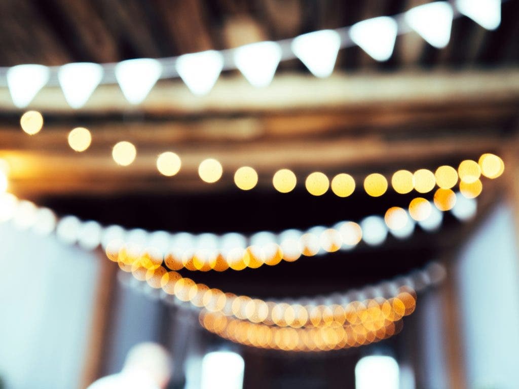 string lights in a backyard
