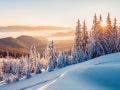 Impressive winter morning in Carpathian mountains with snow covered fir trees. Colorful outdoor scene, Happy New Year celebration concept. Artistic style post processed photo.