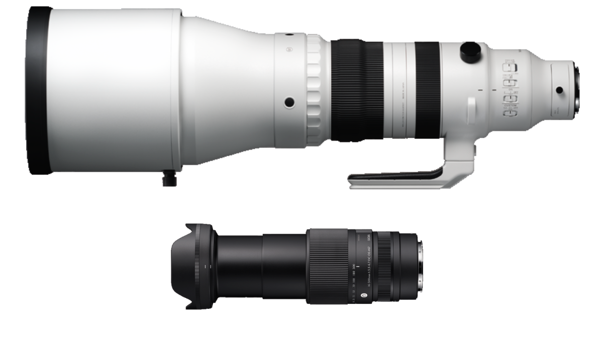 Sigma 300-600mm and 16-300mm