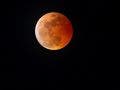 Nature image of total lunar eclipse moon