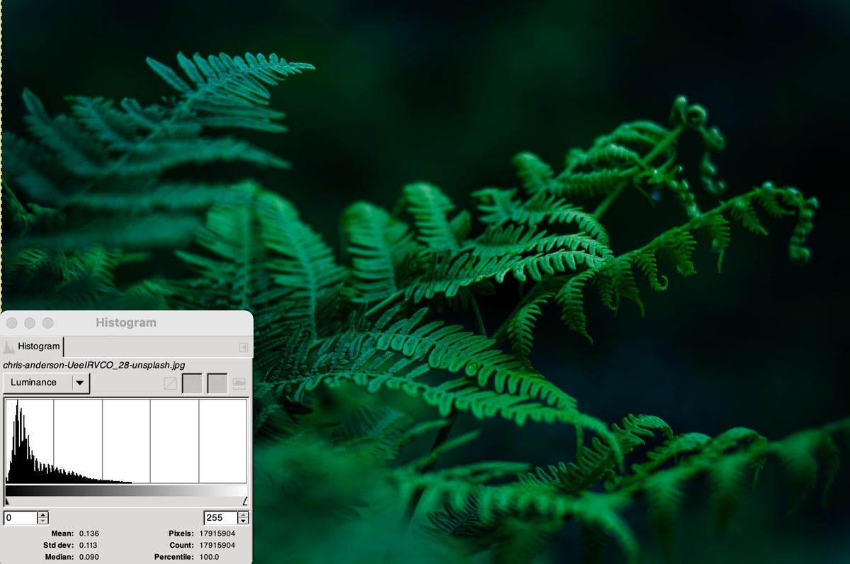Exposure Tools for Video, How Cinematographers Nail the Shot - Adorama