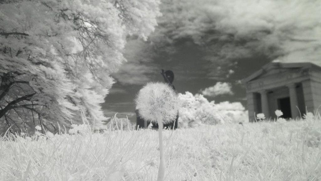 This is the image out of the camera. Whites are very bright, and the sky is flat.
