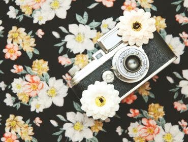 equipment of floral photographers, a camera and flower props