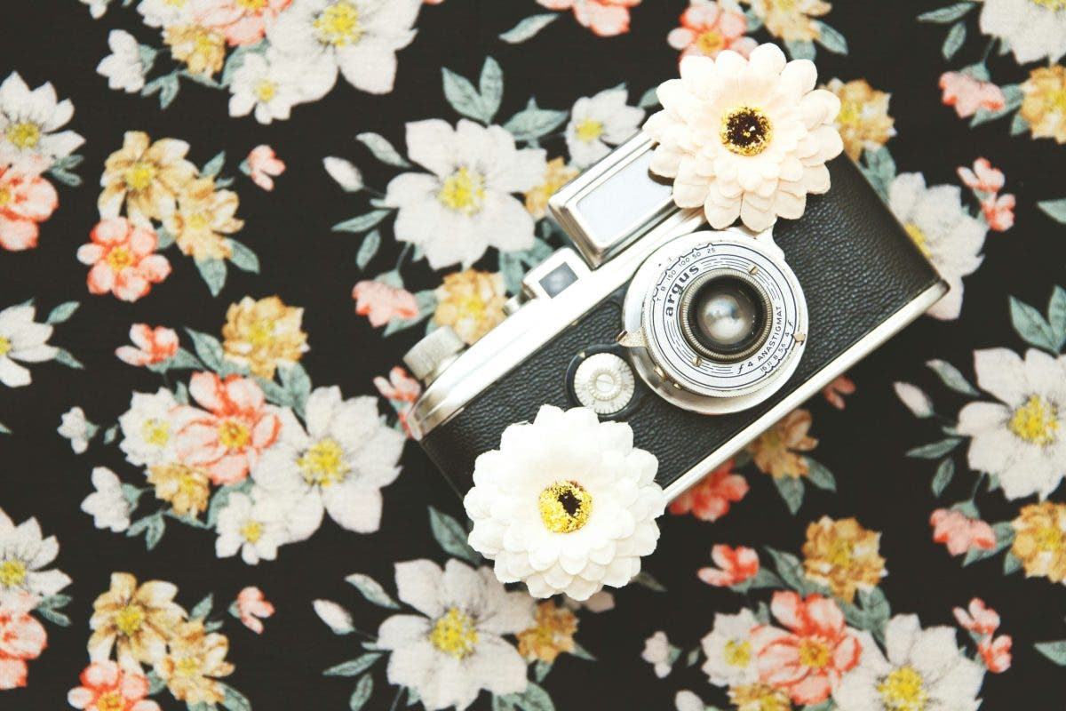 equipment of floral photographers, a camera and flower props