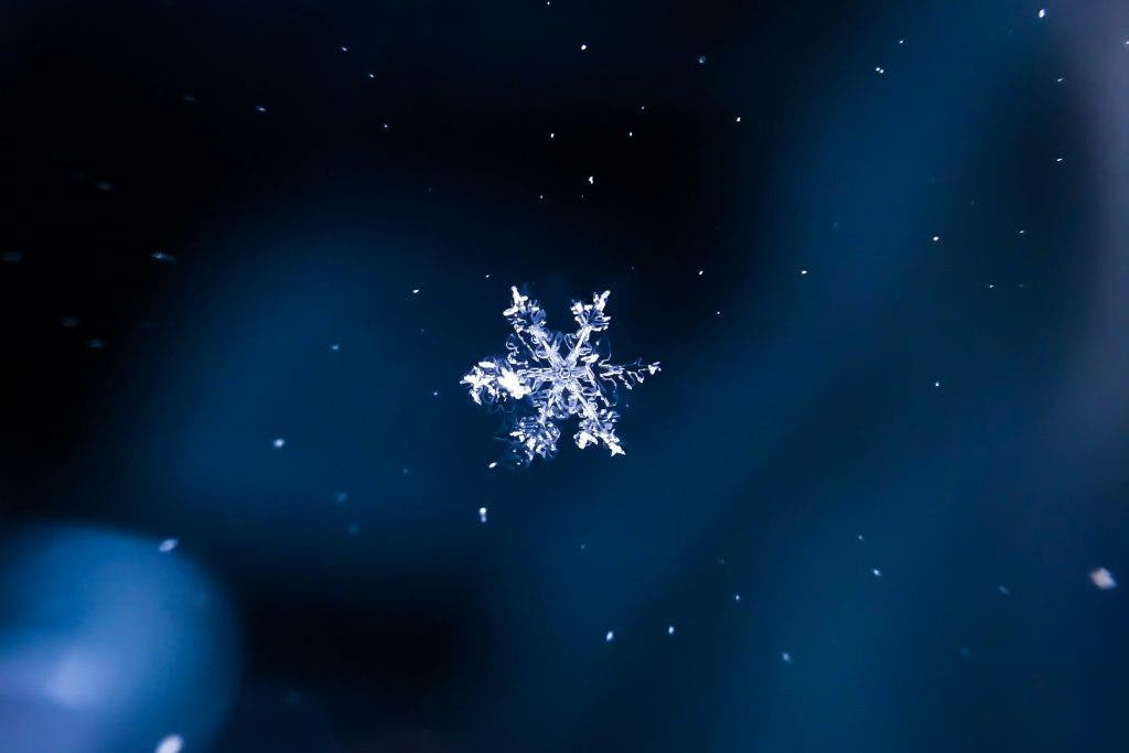 macro shot of a snowflake
