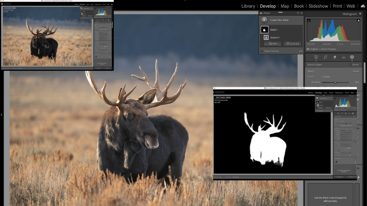 Lightroom Classic Masking Feature