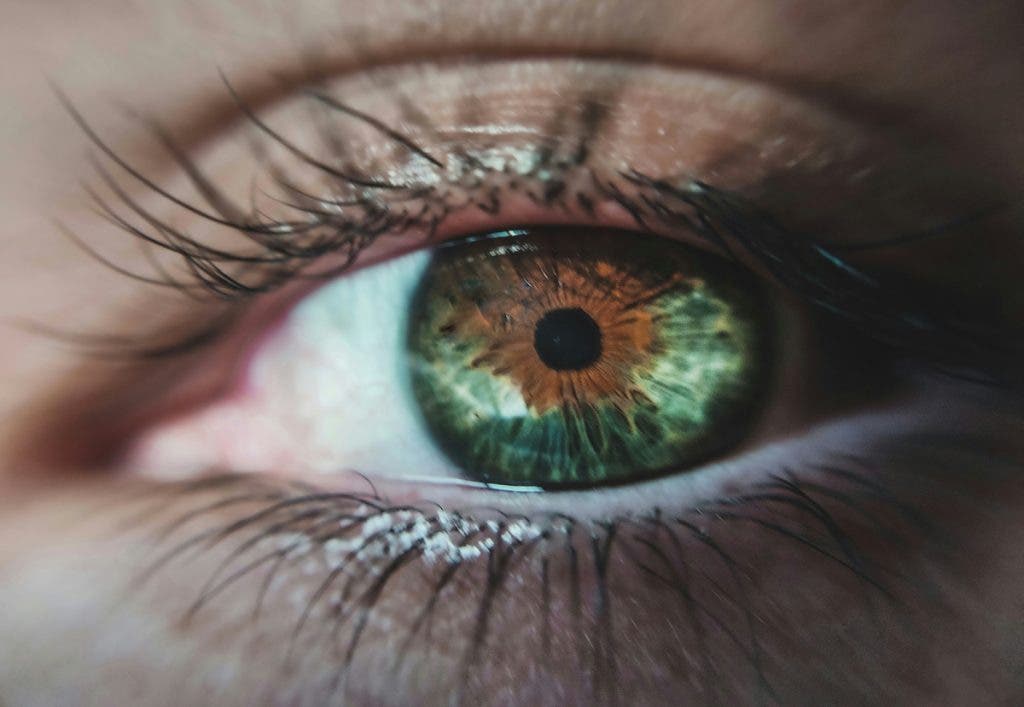 A macro shot of an eye