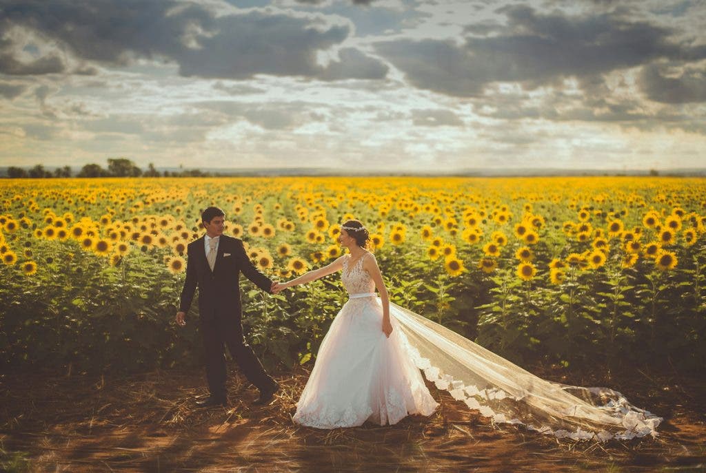 Wedding photo in a sunflower field