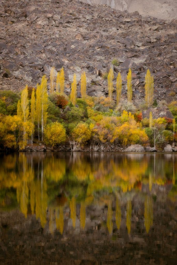 This photograph's primary subject is the colorful trees in the northern areas of Pakistan, celebrating the season's vibrant colors in the almost perfect reflection in the lake.
This image uses a combination of compositional anchors: