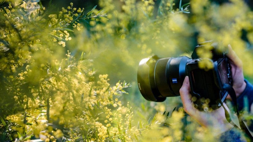 a camera taking macro shots of a plant
