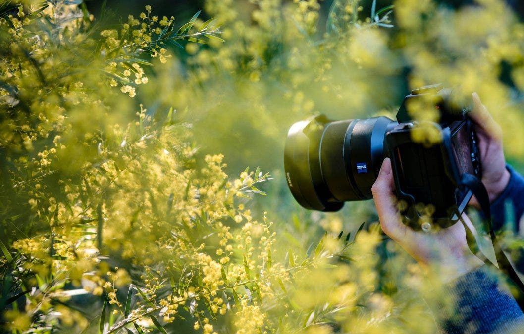 a camera taking macro shots of a plant