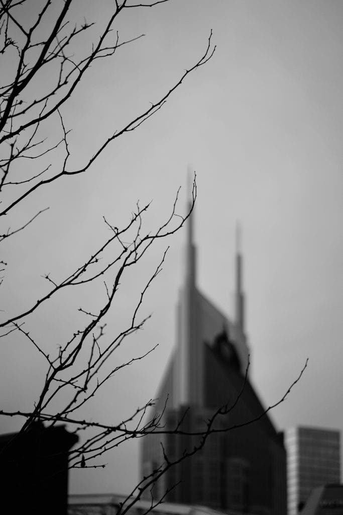 The branches pulled me in, but it’s the blurred tower in the back that reminds me—Nashville’s always growing upward, even when we don’t notice.