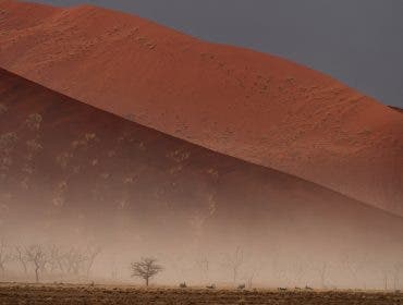 Sossusvlei-dead-vlei-trees-photography