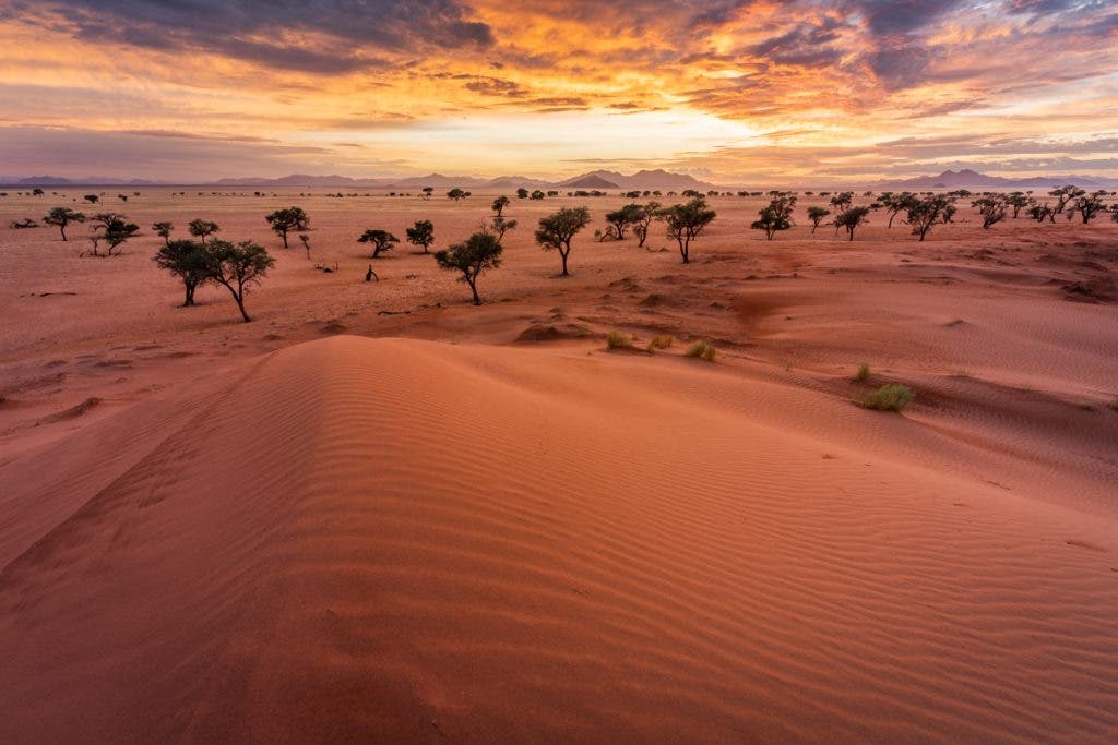 sunrise dunes