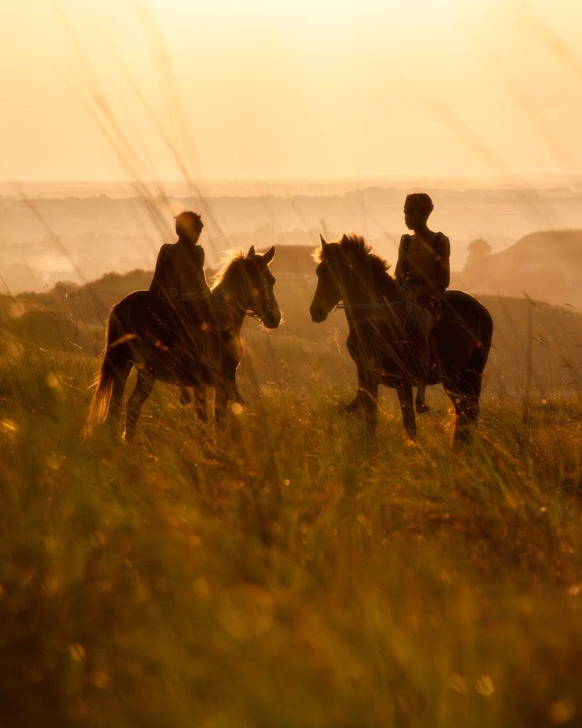 International Travel__Sumba - Sandalwood Horses