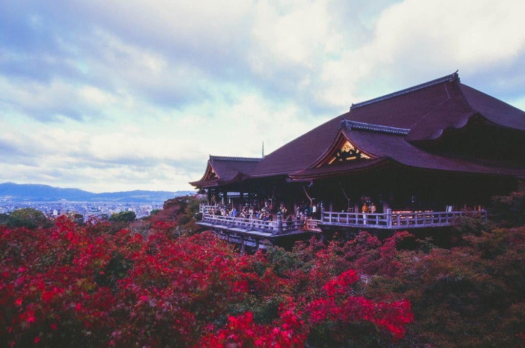 A film can capture unique and interesting colors