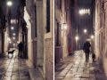 Man and His Dog - Venice