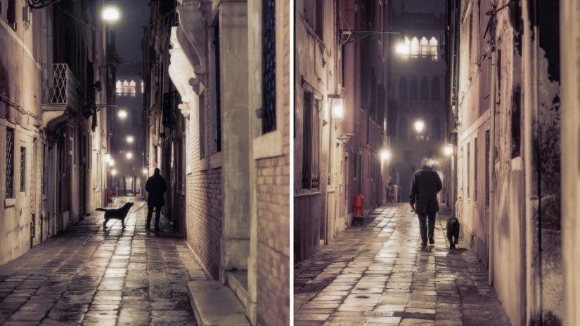 Man and His Dog - Venice