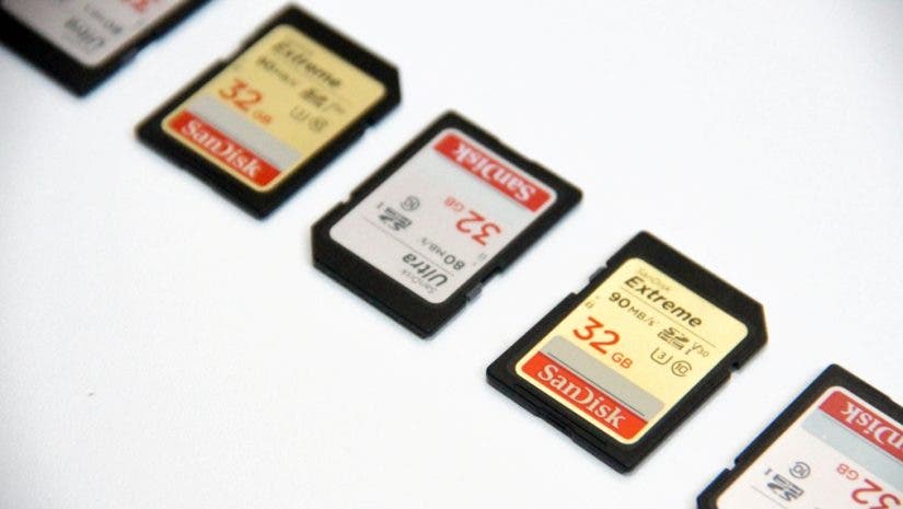 SanDisk SD cards lined up on white background
