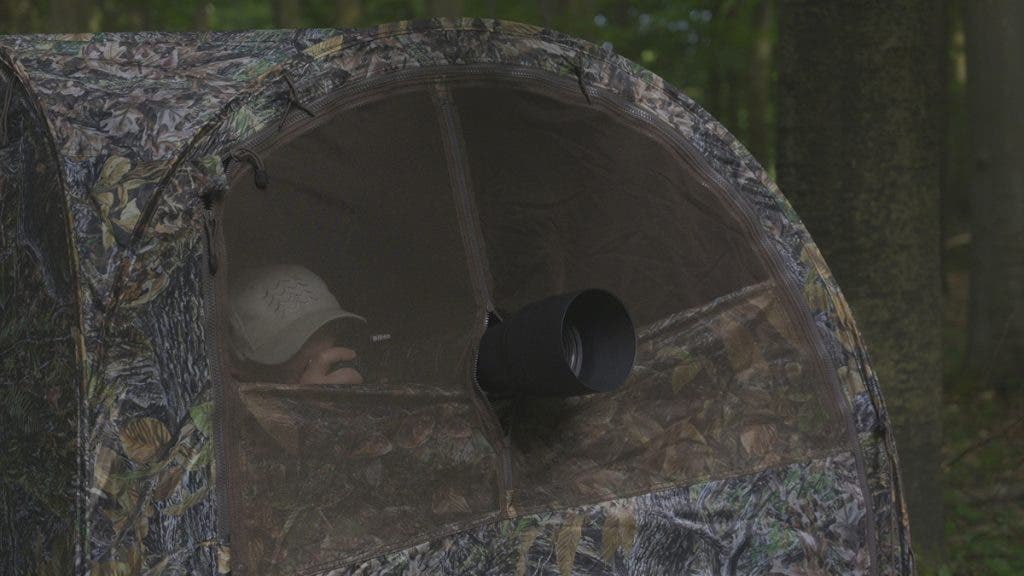 Photographer in hide with net opening