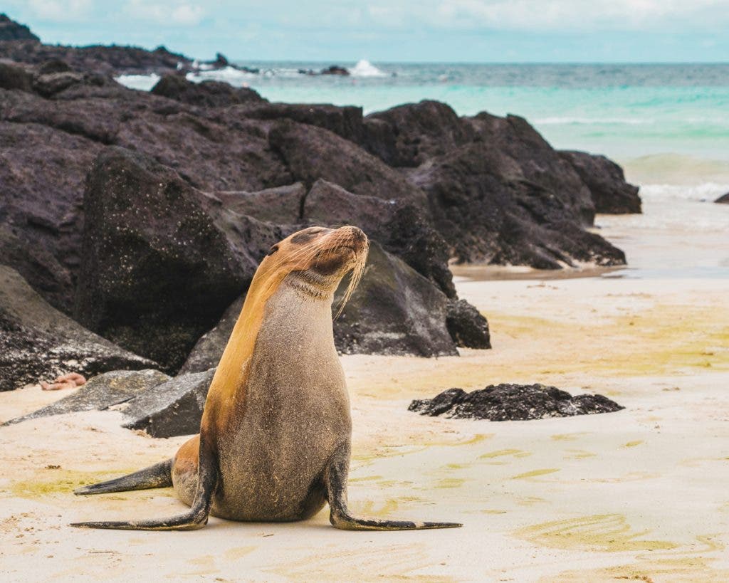 Photo by Amy Perez on Unsplash - Galapagos Islands, Ecuador