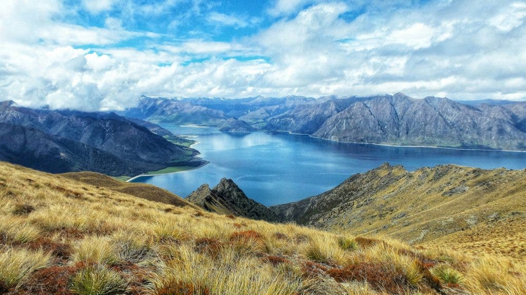 Photo by Hannah Wright on Unsplash - Otago Region, New Zealand