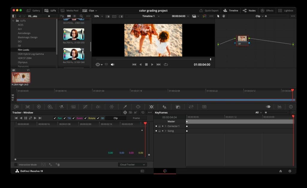 LUTs in color grading Davinci Resolve screenshot