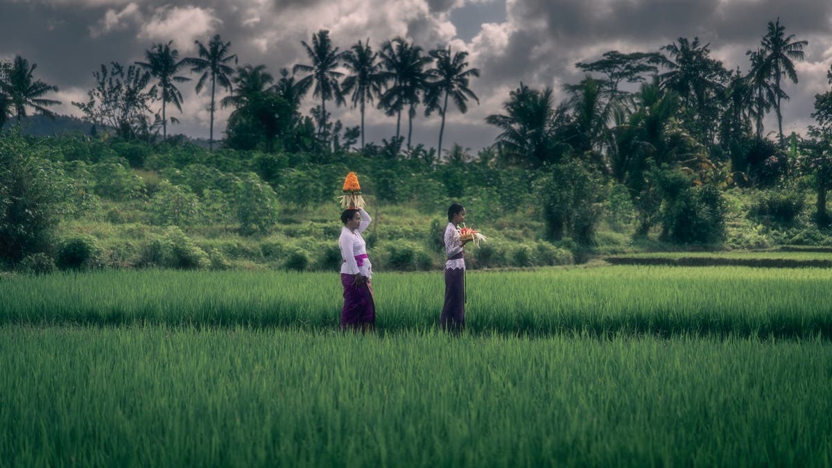 local people walking along a field