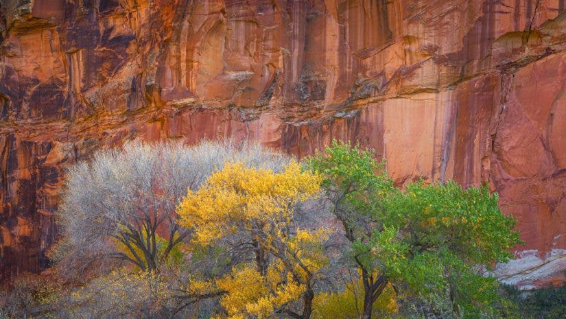 Capitol Reef National Park