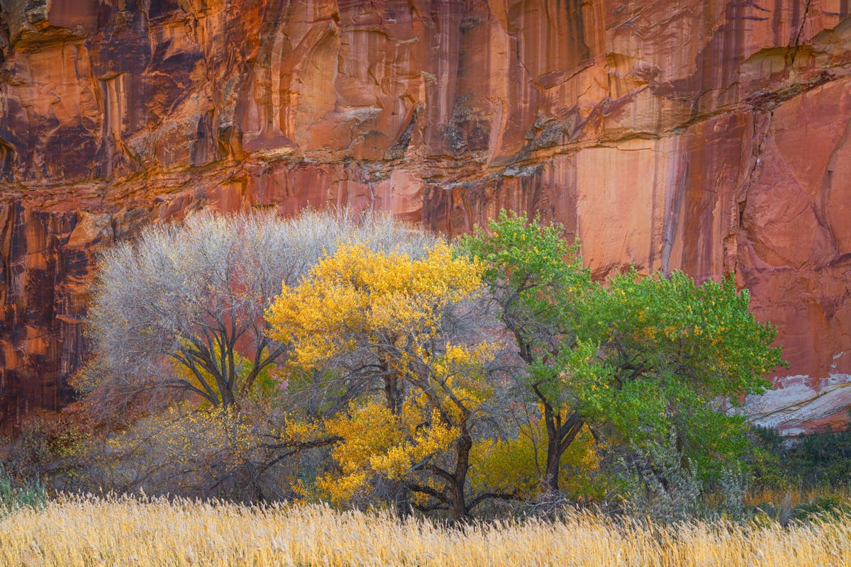 Capitol Reef National Park