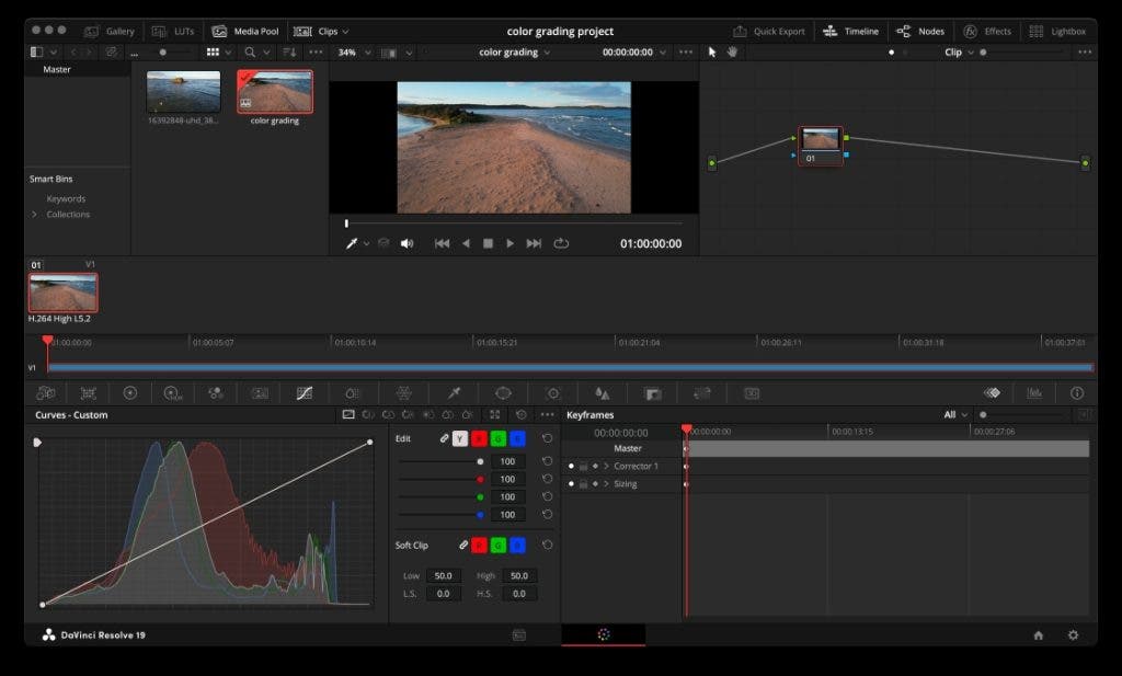 color page view in Davinci Resolve