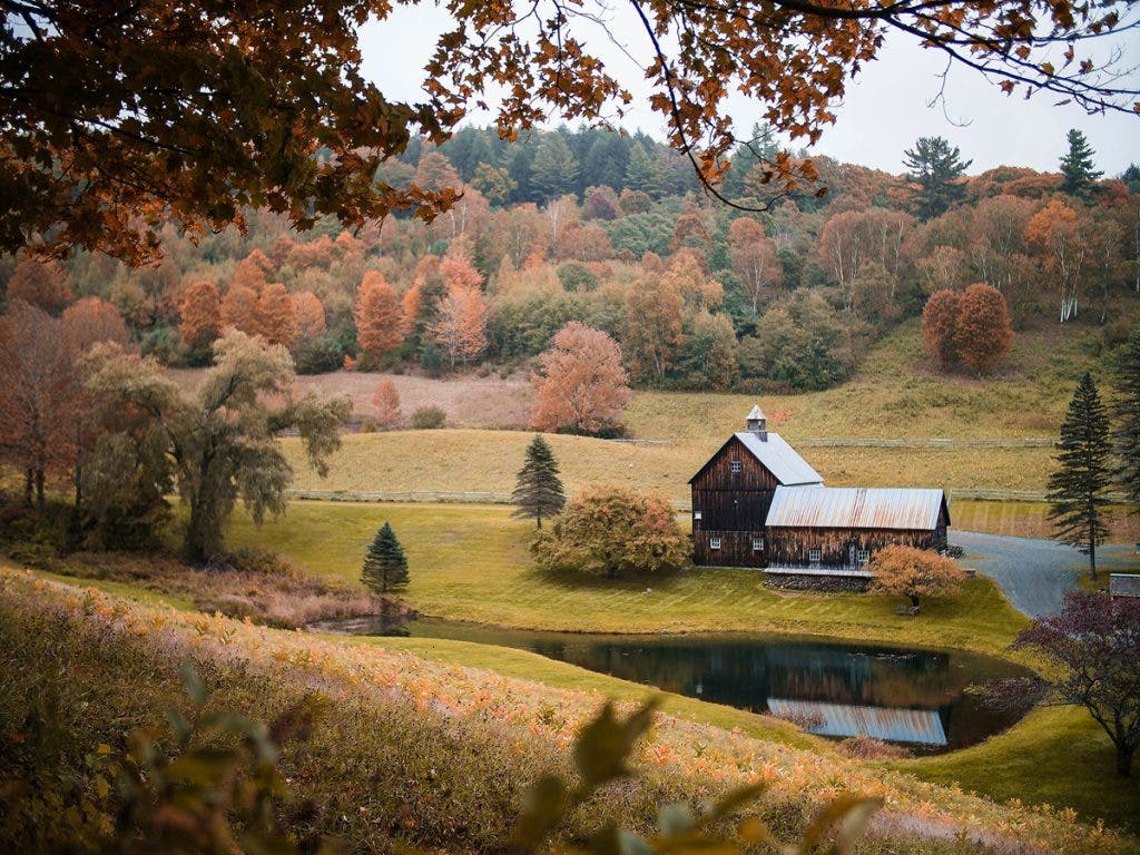 Autumn photography - For the Perfect Portrait Backdrop: Vermont, USA