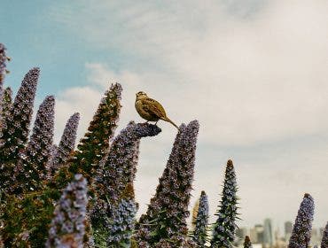 Photographers all wish they could predict the future