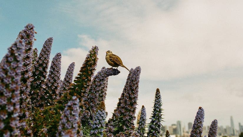 Photographers all wish they could predict the future