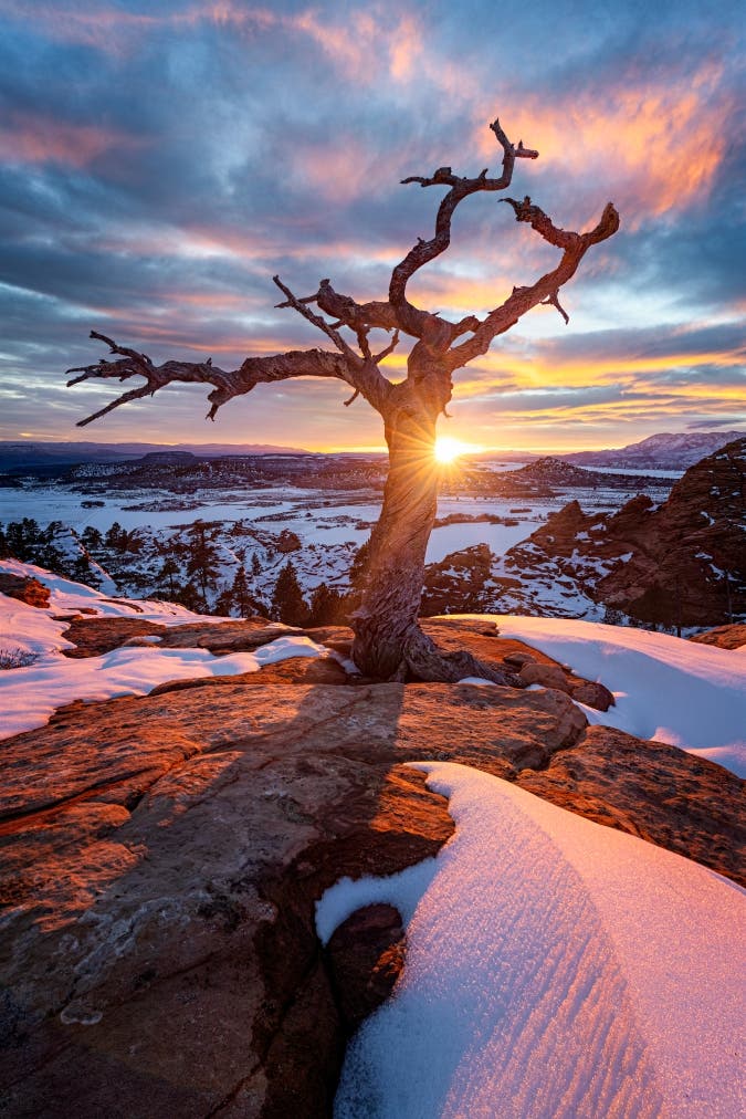 An aperture of f/18 helped me capture this sun star as it hit the horizon and the edge of the tree.
