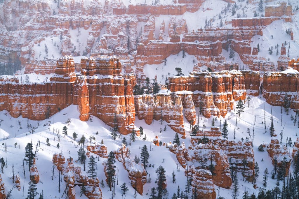 Most of my best images all come with a great memory behind them. This image is shot in Bryce Canyon National Park in the middle of winter. I traveled here after seeing the forecast for over a foot of snow overnight, which would be perfect for photography. When I woke up in the morning, there were over two feet of fresh snow, and the road into the park was yet to be plowed. I drove in just before sunrise, and there was not another person in the whole park. I got to witness the beauty of Bryce Canyon after a fresh snow, completely alone for a couple of hours before anyone else showed up.