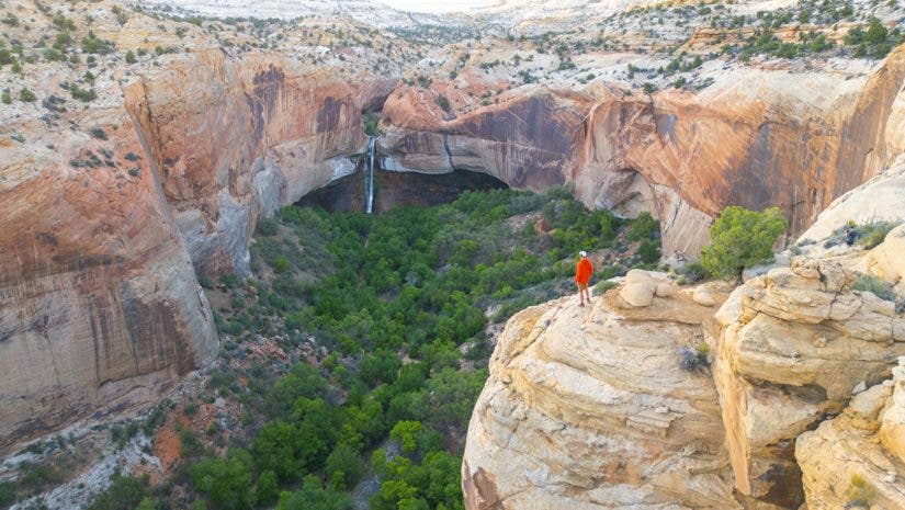 Austin Jackson is exploring nature in this wide-angle shot